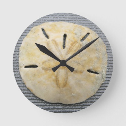 Natural Sand Dollar Round Clock