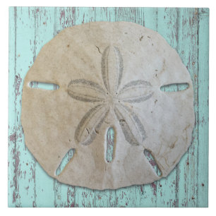 Natural Sand Dollar Rustic Beach Wood  Ceramic Tile