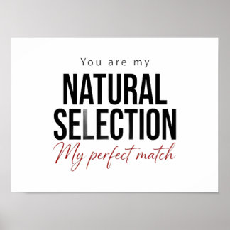 Natural Selection Poster Biology Science Gift
