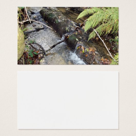 Natural   surroundings Card   Visit (Front & Back)