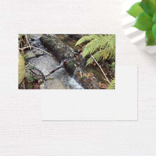 Natural   surroundings Card   Visit (Desk)