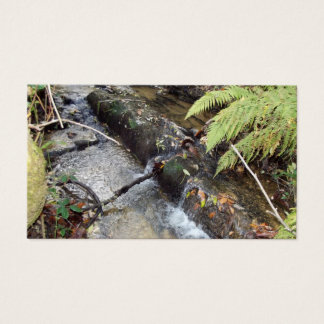 Natural surroundings Card Visit