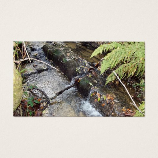 Natural surroundings Card Visit (Front)