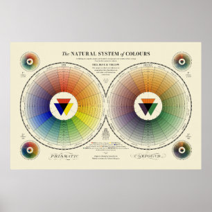 Natural System of Colours - Light Poster