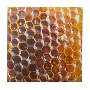 Natural Textures - Honeycomb Tile