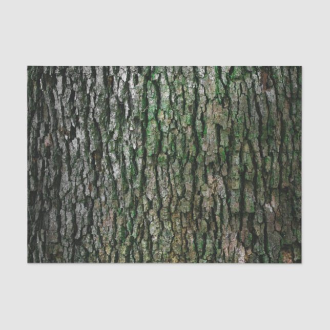 Natural tree bark texture tissue paper (Front)