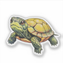 Natural Turtle