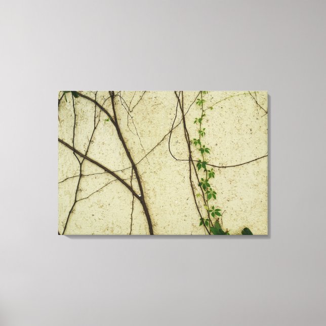Natural Vines Canvas Print (Front)