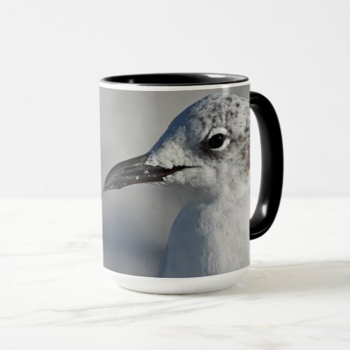 Natural White Laughing Gull Florida Photograph Mug