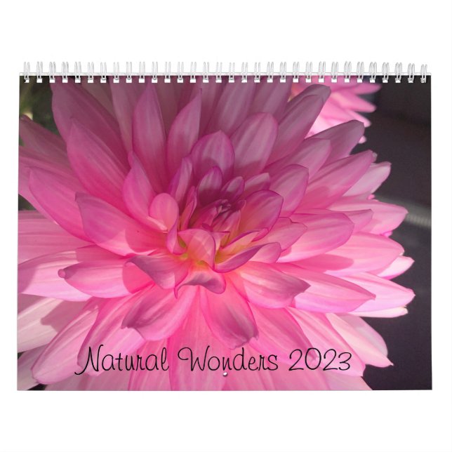 Natural wonder Two Page MediumCalendar, White 2023 Calendar (Cover)