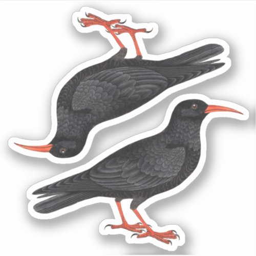 Naturalistic Red_Billed Choughs fR _ Contour Sticker