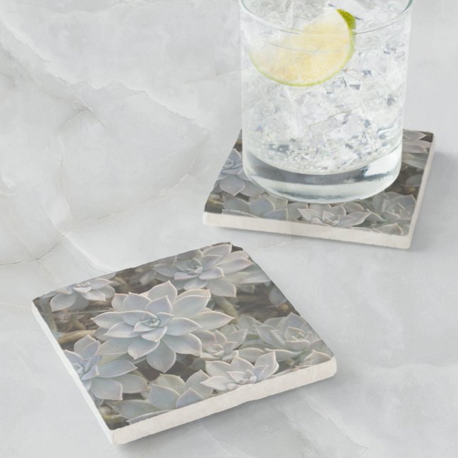 Naturally Beautiful Succulents Botanical Stone Coaster (Creator Uploaded)