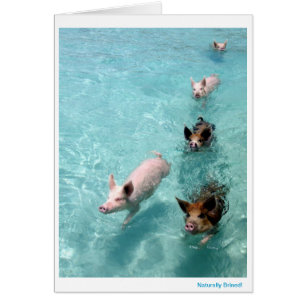 Naturally Brined! Cards