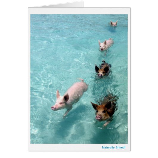Naturally Brined! Cards (Front)