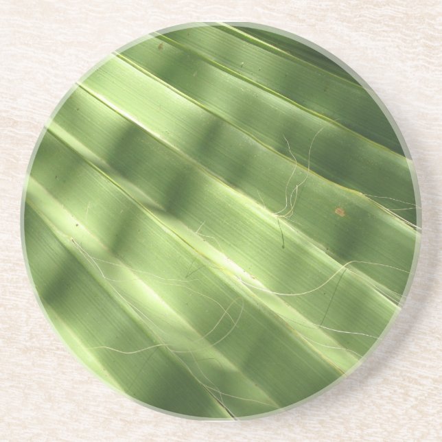 Naturally Cool Surfaces_Fluted Frond Drink Coaster (Front)