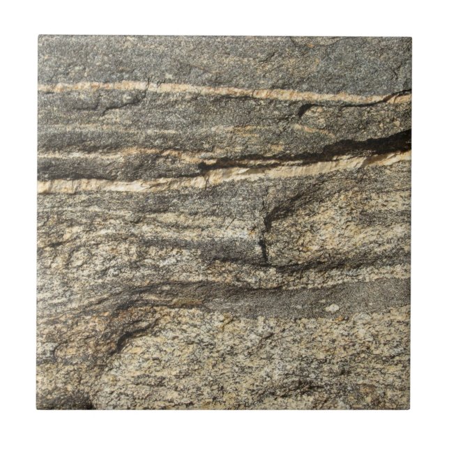 Naturally Cool Surfaces_Granite look Ceramic Tile (Front)