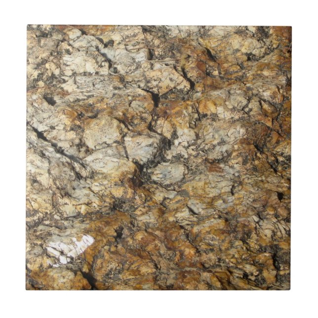 Naturally Cool Surfaces_Marble look Tile (Front)