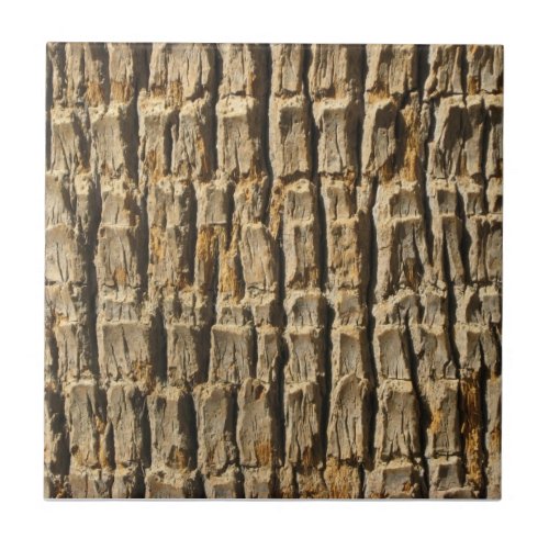 Naturally Cool Surfaces_Palm Tree Bark Ceramic Tile