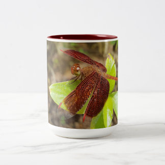NaturCraze Red and Black Dragonfly Mug