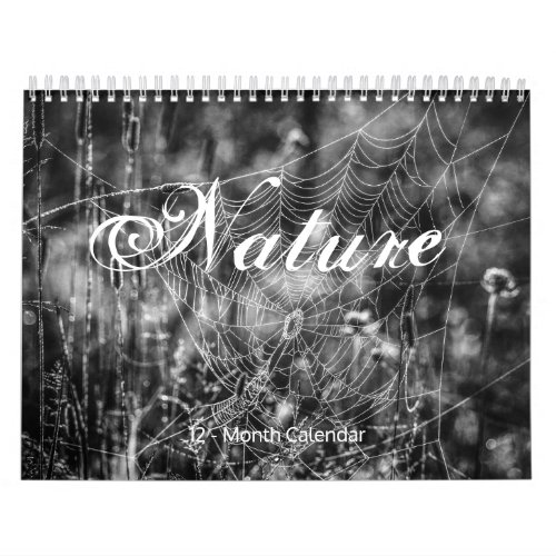 NATURE 12 _ Month 2022 Seasonal Calendar