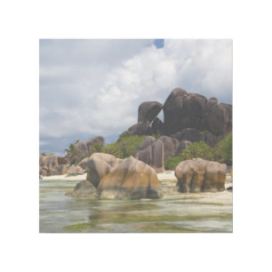 Nature 12" x 12" Gallery Wrap