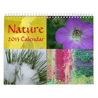 Nature 2013 Calendar