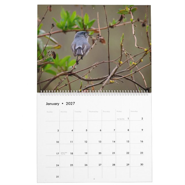 Nature and Animals Calendar (Jan 2027)