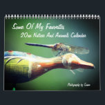 Nature And Animals Photography Calendar<br><div class="desc">A collection of some of my favorite critters including dragonflies, birds, praying mantis, butterflies, ladybug, and more calendar. Click on Customize to add text and change calendar year. These images are available on many products in my store. Links to all of my stores are on my Profile page. Thanks for...</div>