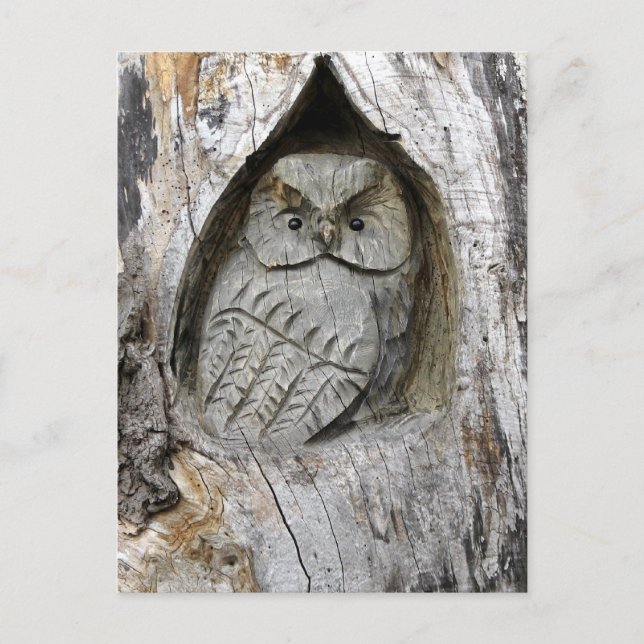 Nature and Art Center Postcard (Front)