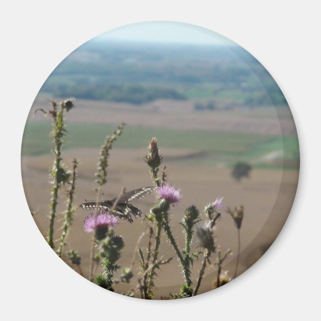 Nature and Butterfly Photo Magnet (Front)