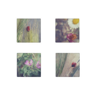 Nature and Ladybugs   Stone Magnet