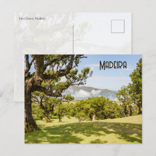 Nature and landscape of Fanal Forest, Madeira Postcard