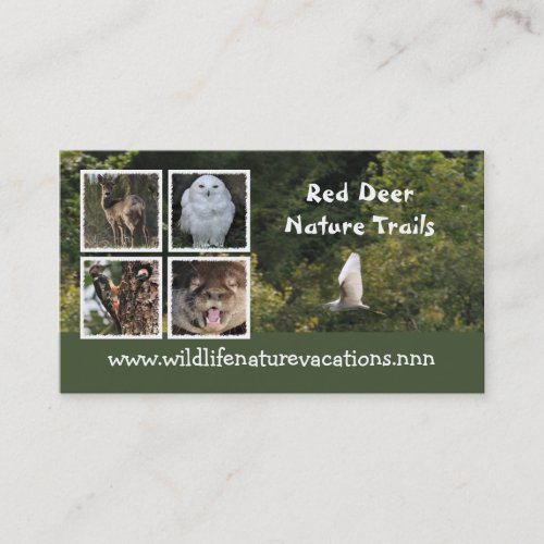Nature and wildlife business card