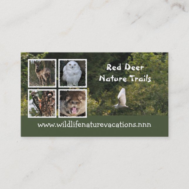 Nature and wildlife business card (Front)