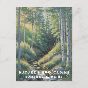 *~* Nature AP49 Maine Forest Woods Vacation Stream Postcard