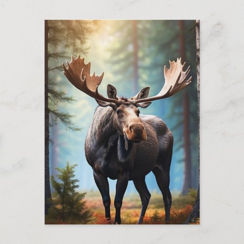 *~* Nature AP49 MOOSE Head Turned  Forest Cottage Postcard