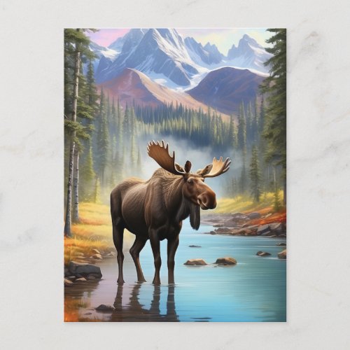  Nature AP49 MOOSE Mountain Forest STREAM Postcard
