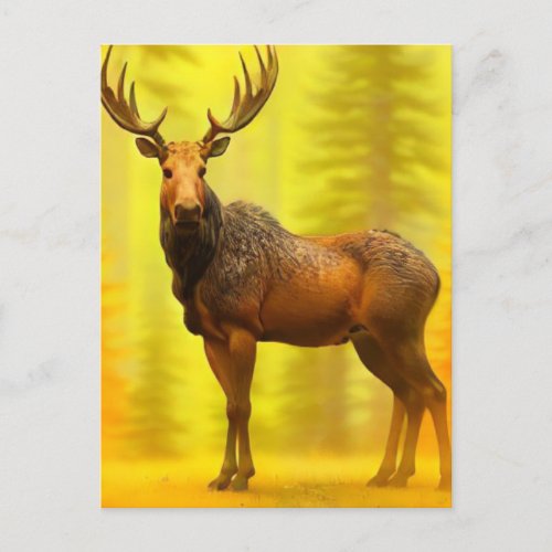  Nature AP49 MOOSE Woods Forest Fall Yellow Sun Postcard
