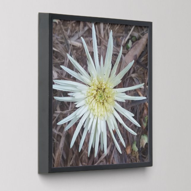 NATURE ART GIFT FOR NEW YEAR ,VALENTINE Photo Tile (Angled)