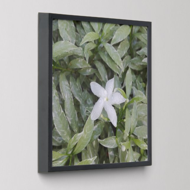 NATURE ART GIFT FOR NEW YEAR ,VALENTINE Photo Tile (Angled)