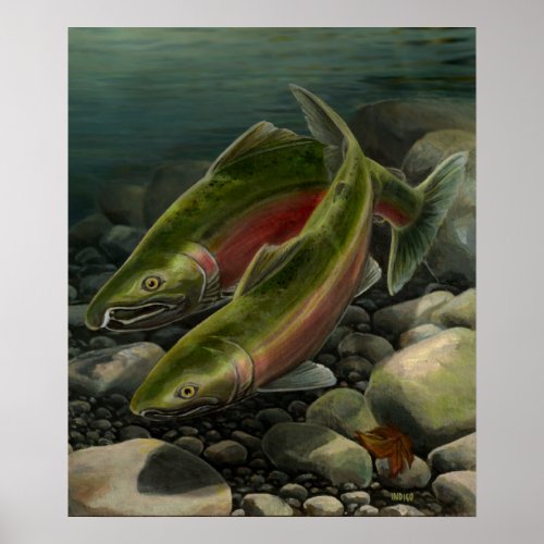 Nature Art Poster Coho Salmon Fishing Art Print