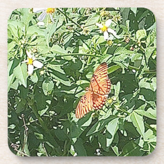 Nature At Its Best Beverage Coaster