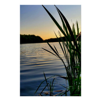 Nature at its best poster