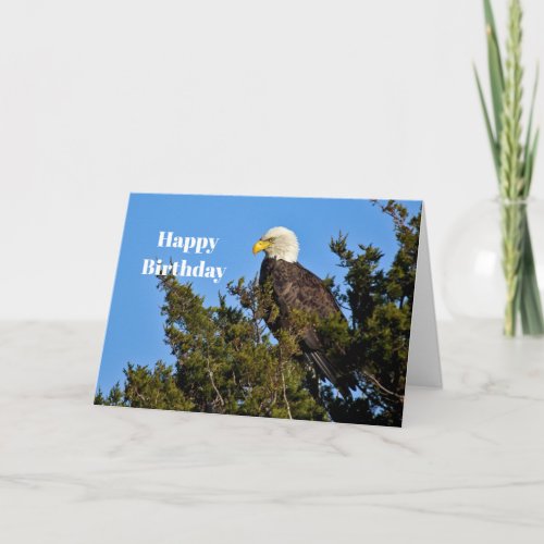 Nature Bald Eagle Wildlife Photo Birthday Card