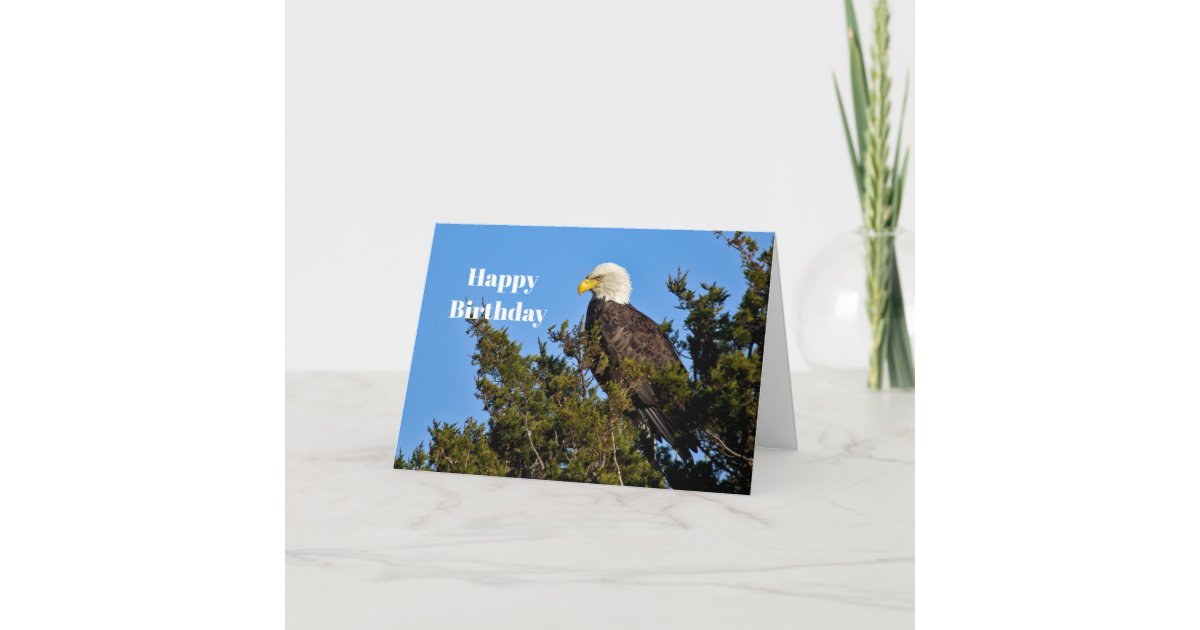 Nature Bald Eagle Wildlife Photo Birthday Card | Zazzle