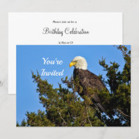 Nature Bald Eagle Wildlife Photo Birthday