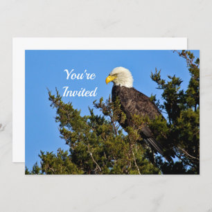 Nature Bald Eagle Wildlife Photo Birthday Invitation
