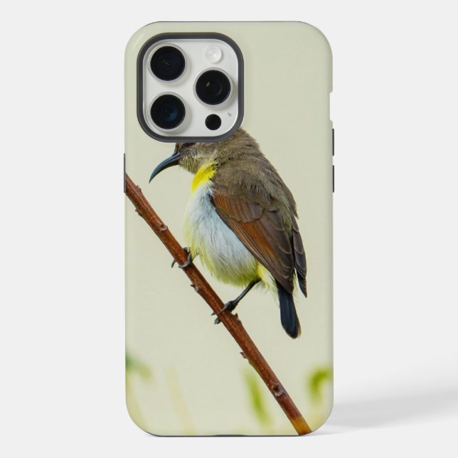 Nature Bird Phone Case (Back)