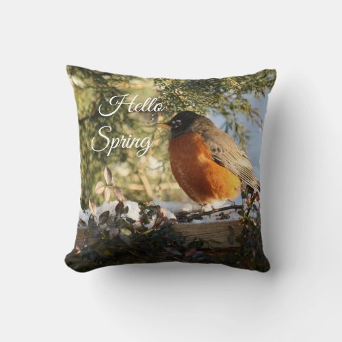 Nature Bird Photo Robin  Throw Pillow