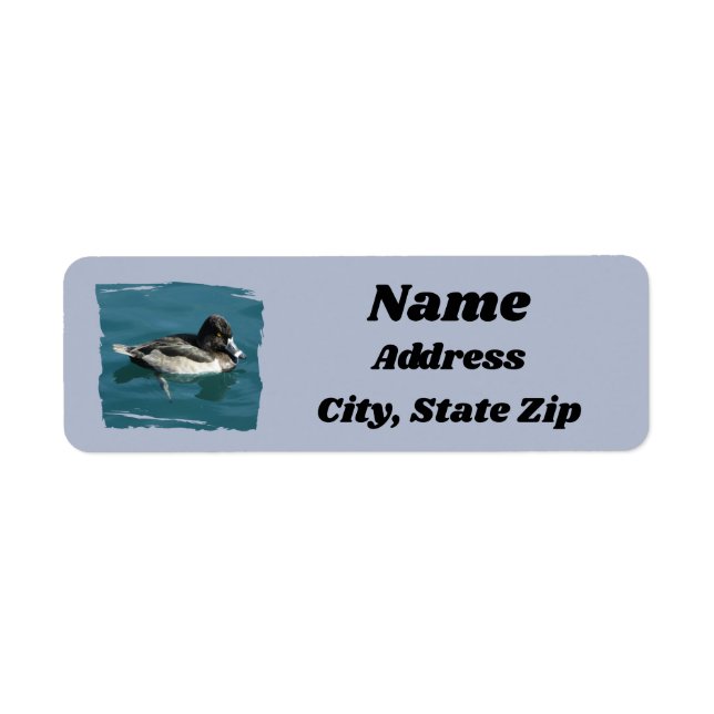 Nature Birds Ring-necked Duck on Water Animal Label (Front)